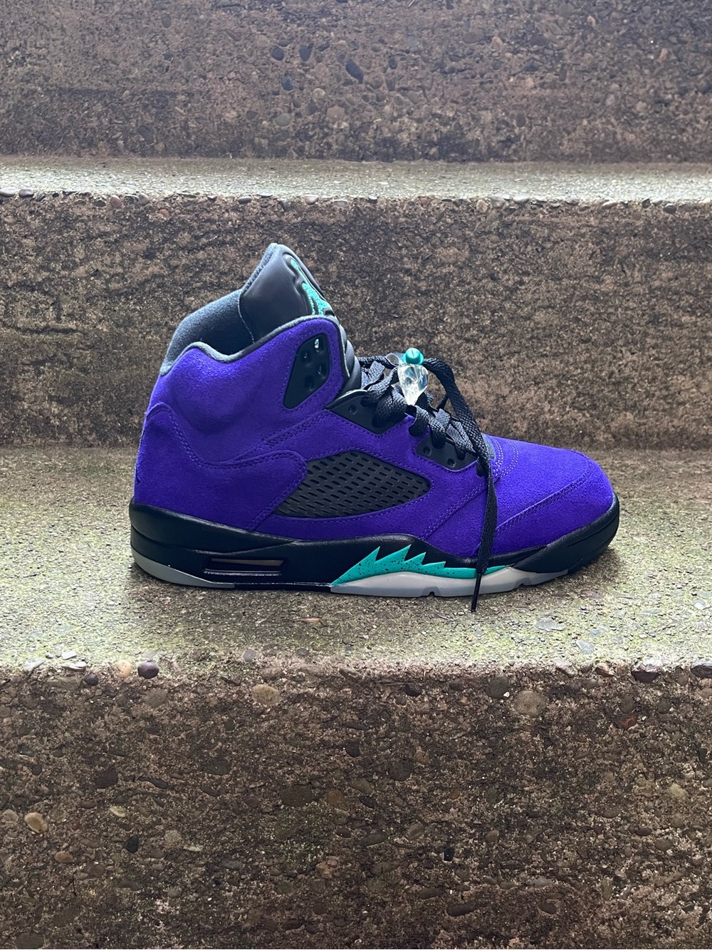 Air Jordan 6 Retro (Alternate Grape)